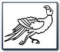 Parrot motif from an Oriental rug