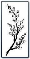 Blossom motif from an Oriental rug