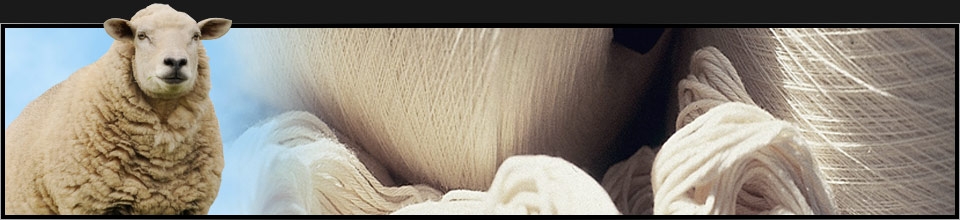 A sheep beside skeins of spun wool